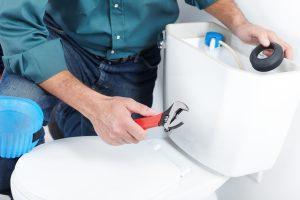 Plumber Lake Oswego